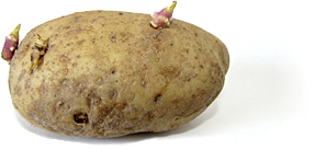 patate